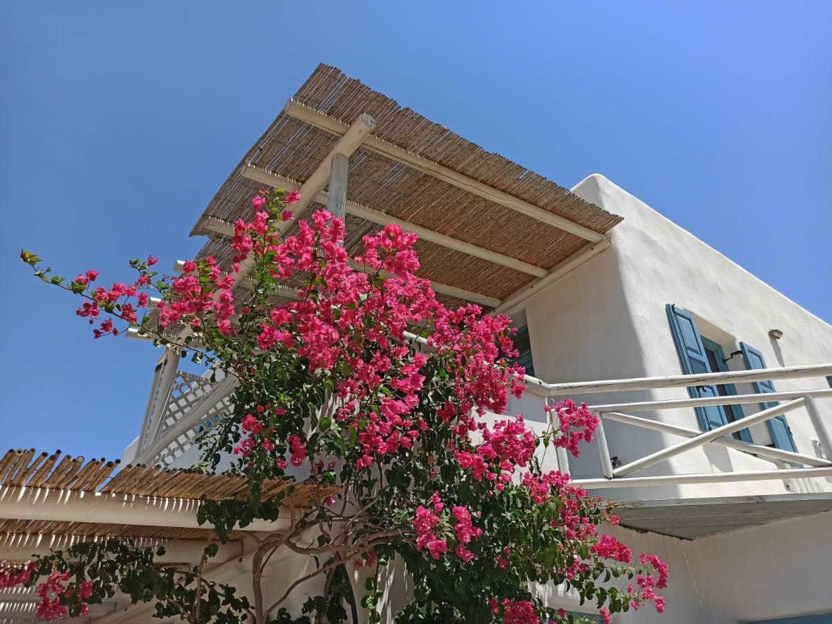 Aparthotel Kykladonisia Amorgos Chambre photo