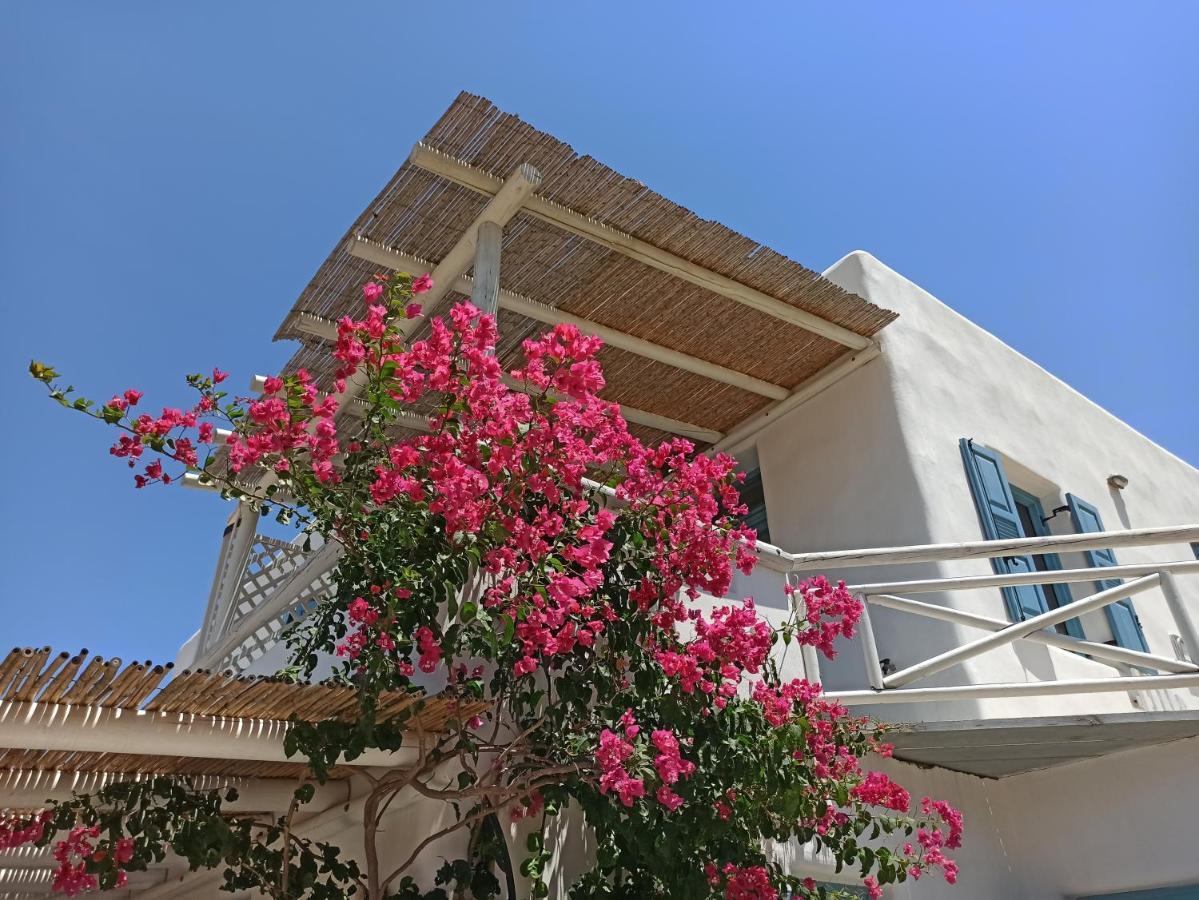 Kykladonisia Amorgos Chambre photo